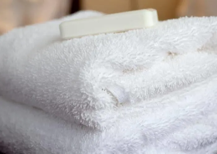 ネポムク ツェルマット